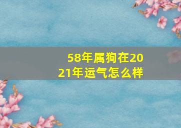 58年属狗在2021年运气怎么样