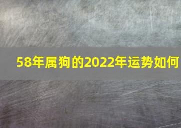 58年属狗的2022年运势如何