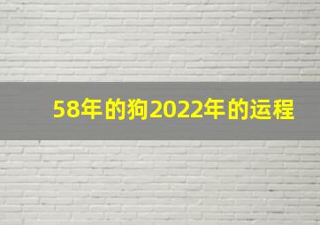 58年的狗2022年的运程