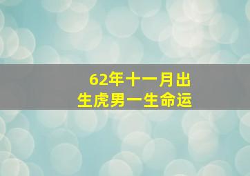 62年十一月出生虎男一生命运