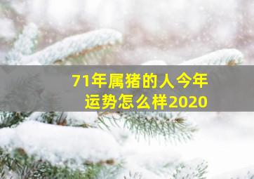 71年属猪的人今年运势怎么样2020