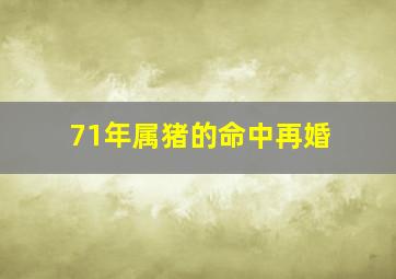 71年属猪的命中再婚