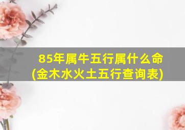 85年属牛五行属什么命(金木水火土五行查询表)