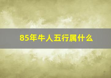 85年牛人五行属什么