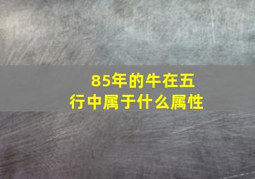 85年的牛在五行中属于什么属性