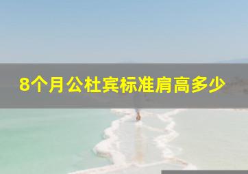 8个月公杜宾标准肩高多少