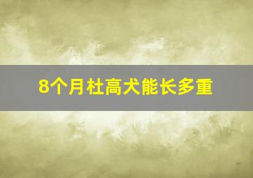 8个月杜高犬能长多重