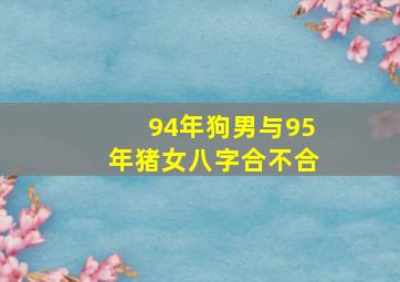 94年狗男与95年猪女八字合不合