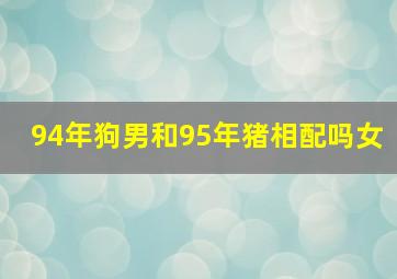 94年狗男和95年猪相配吗女