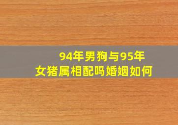 94年男狗与95年女猪属相配吗婚姻如何