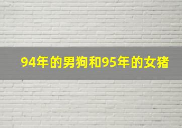 94年的男狗和95年的女猪