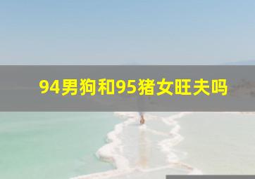 94男狗和95猪女旺夫吗