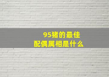 95猪的最佳配偶属相是什么