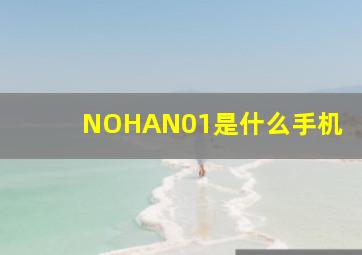 NOHAN01是什么手机