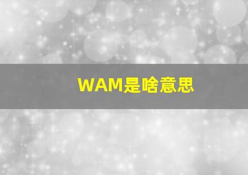 WAM是啥意思