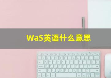 WaS英语什么意思