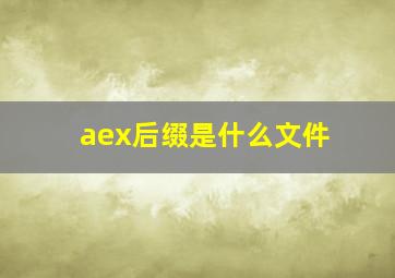 aex后缀是什么文件