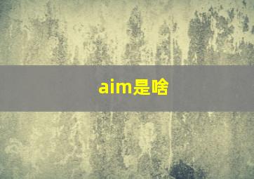 aim是啥