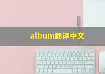 album翻译中文