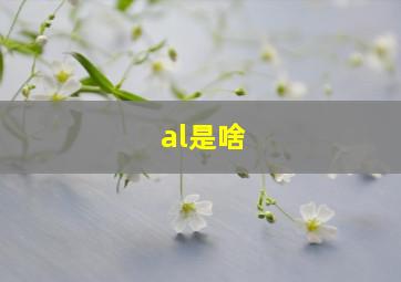 al是啥