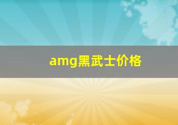 amg黑武士价格