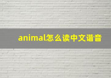 animal怎么读中文谐音