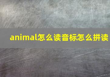 animal怎么读音标怎么拼读