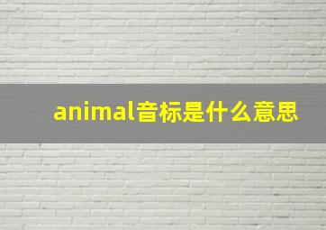 animal音标是什么意思