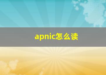 apnic怎么读