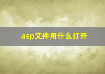 asp文件用什么打开