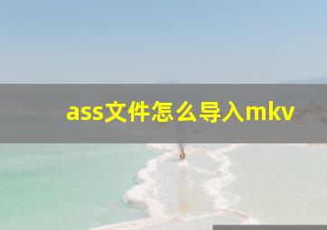 ass文件怎么导入mkv