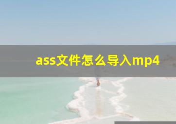 ass文件怎么导入mp4