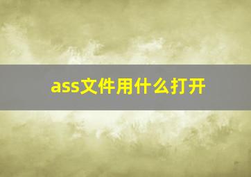 ass文件用什么打开