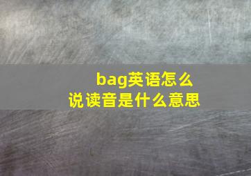 bag英语怎么说读音是什么意思