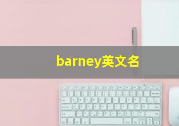 barney英文名