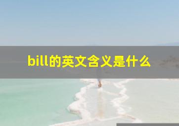 bill的英文含义是什么