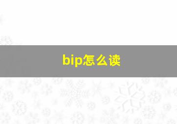 bip怎么读