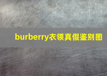 burberry衣领真假鉴别图