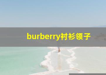 burberry衬衫领子