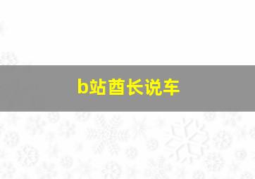 b站酋长说车