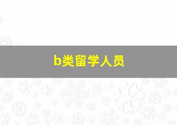 b类留学人员