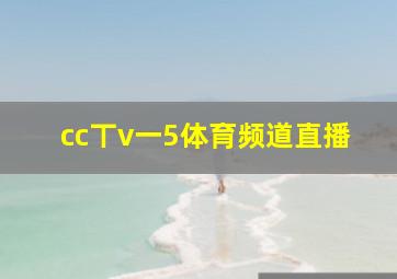 cc丅v一5体育频道直播