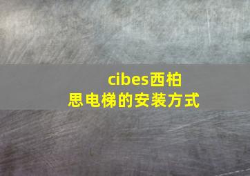 cibes西柏思电梯的安装方式