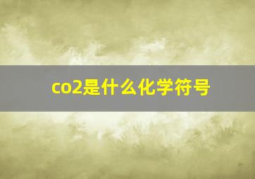 co2是什么化学符号