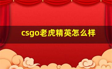 csgo老虎精英怎么样