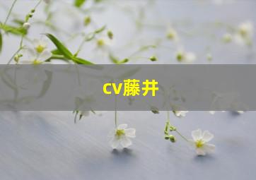 cv藤井