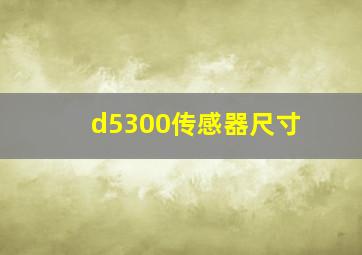 d5300传感器尺寸