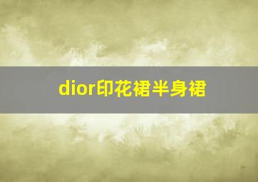 dior印花裙半身裙