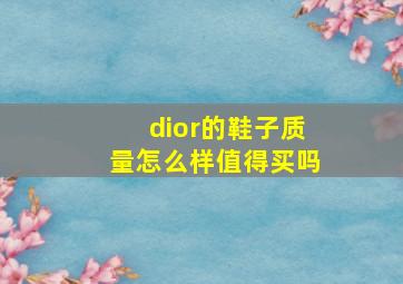 dior的鞋子质量怎么样值得买吗