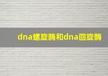 dna螺旋酶和dna回旋酶